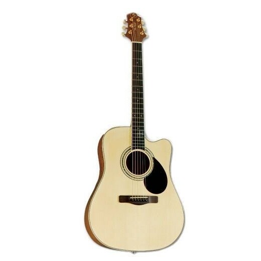 NO NAME Samick Greg Bennett GD-100SC