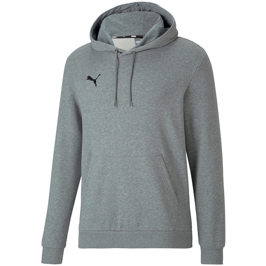Puma teamGOAL 23 Causals Hoody grey