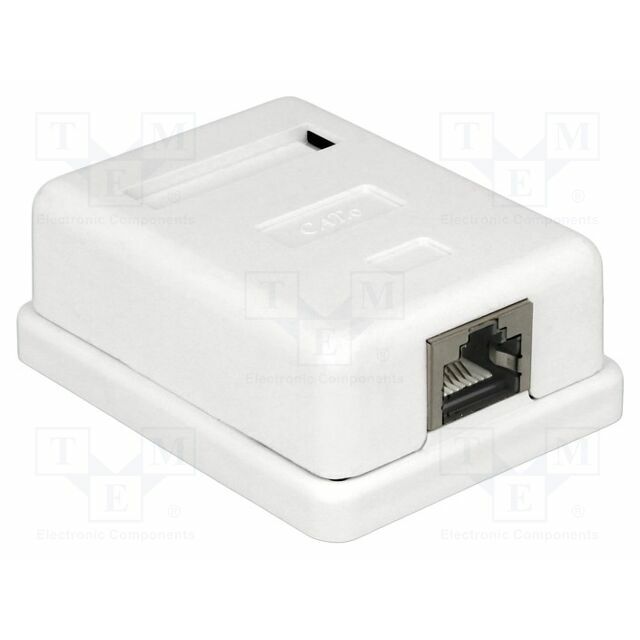 Wall socket; white; RJ45 socket; wall