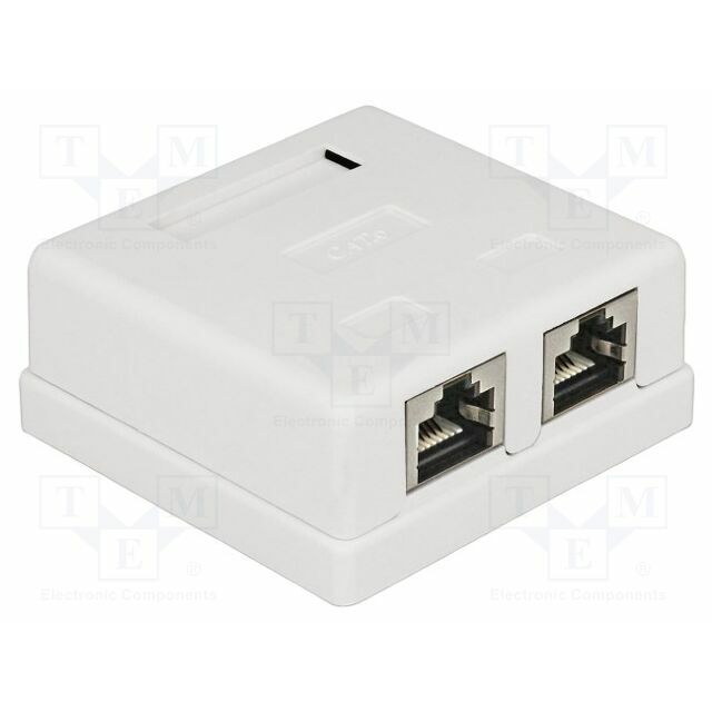 Wall socket; white; RJ45 socket x2