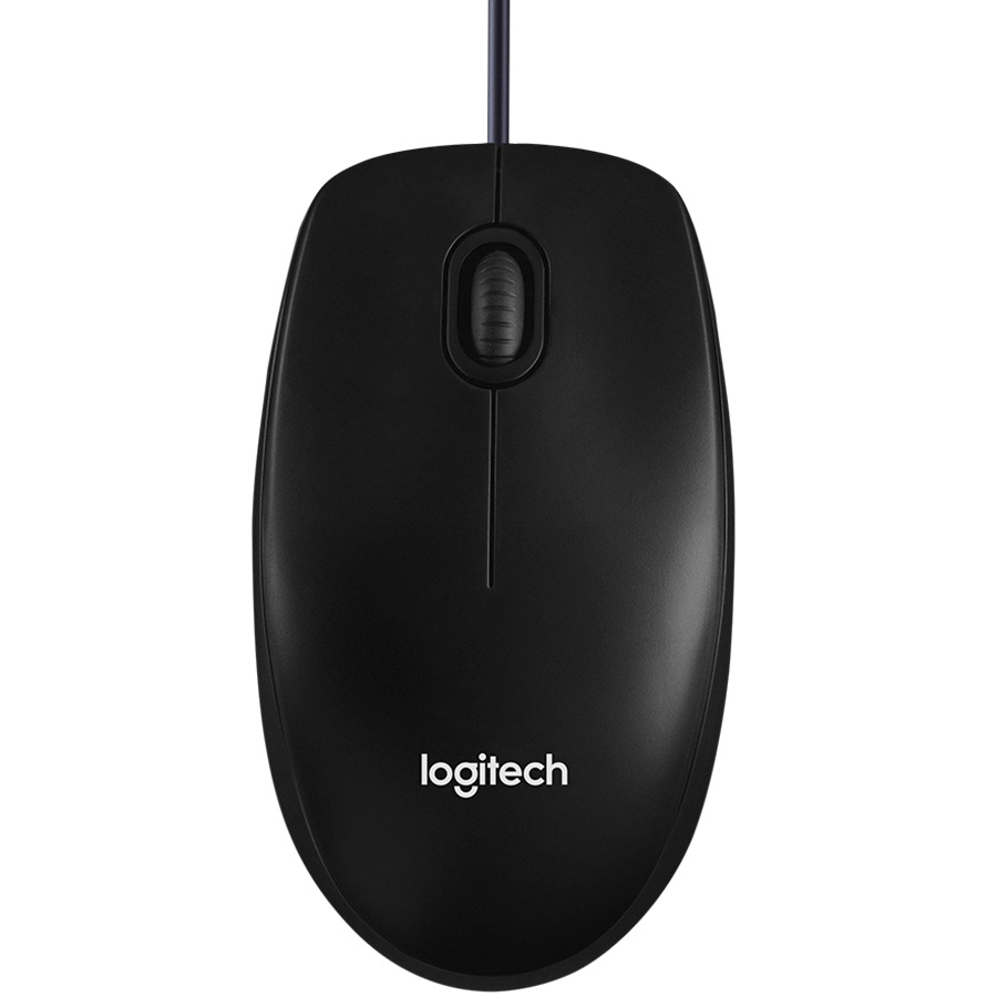 Logitech B100 Standarta Datora Pele 800