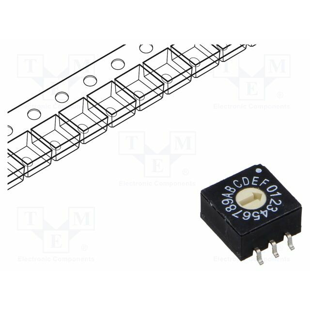 ECE Encoding switch; HEX/BCD; Pos: 16