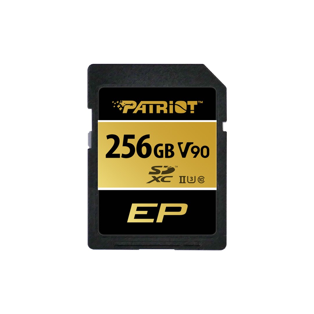 PATRIOT MEMORY Memory card PATRIOT V90