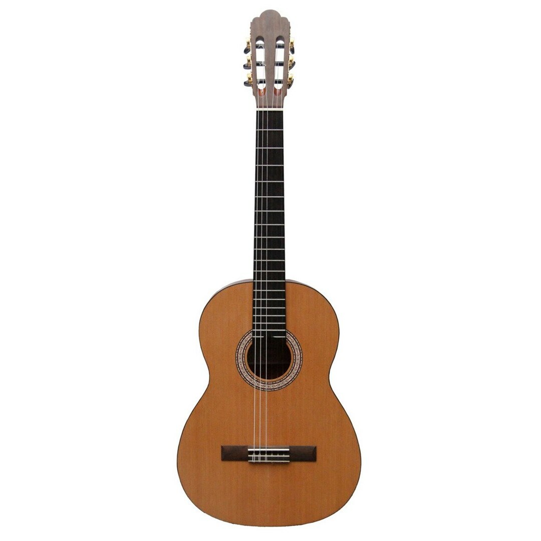 NO NAME Prodipe Guitars Primera 4/4
