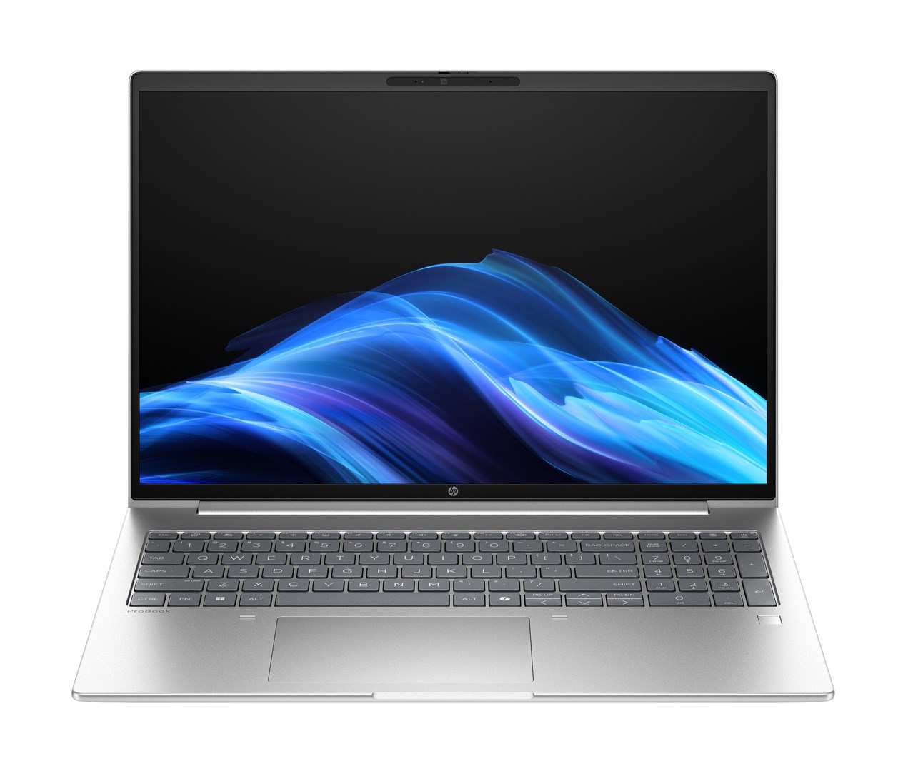 HEWLETT PACKARD Notebook HP ProBook 4