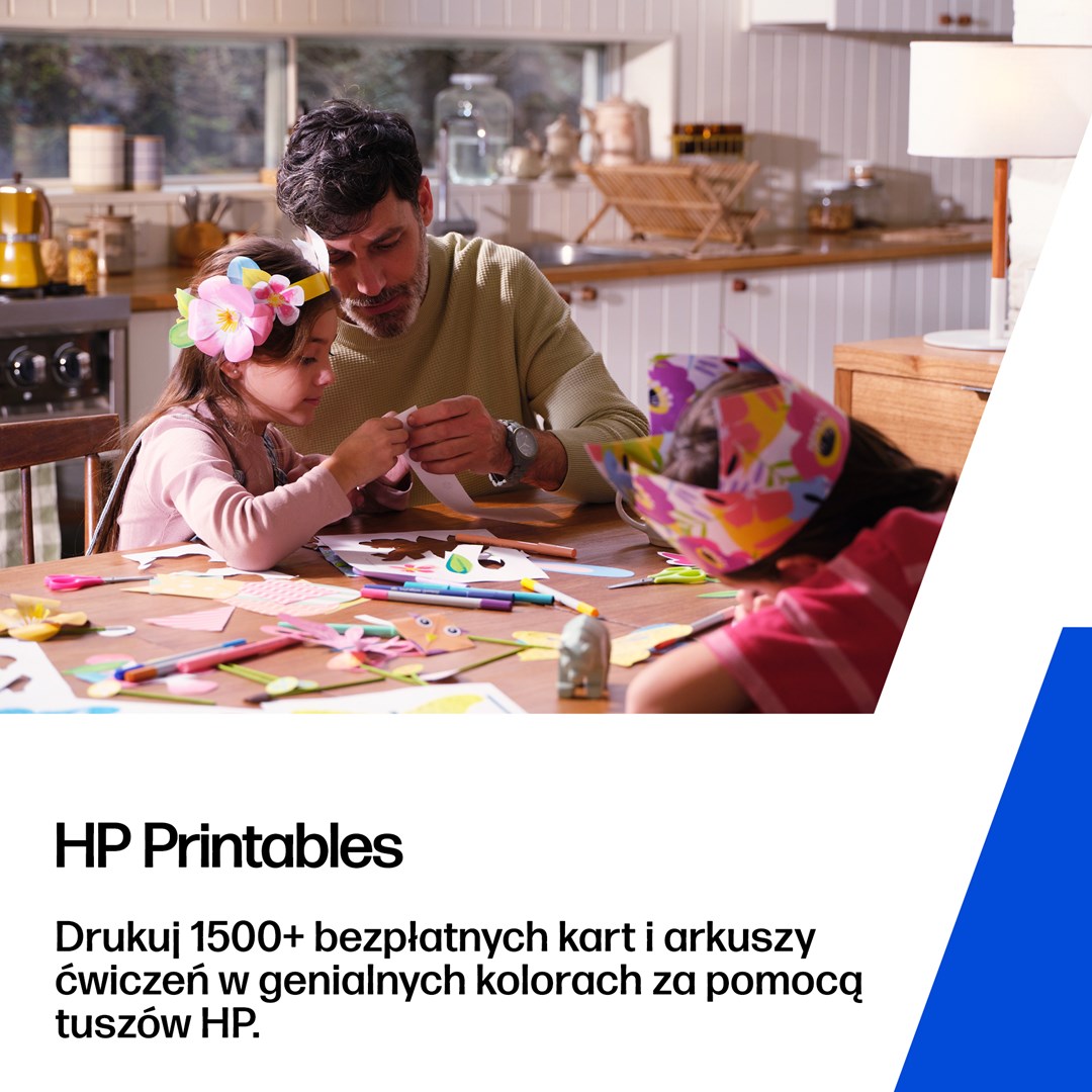 HEWLETT PACKARD HP 302XL/304XL Black Original