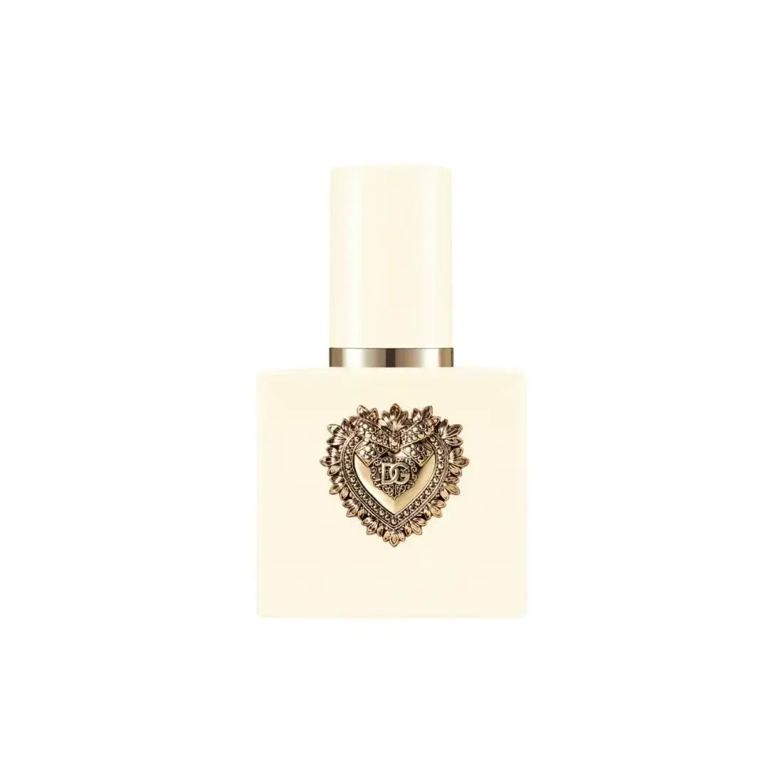 Dolce & Gabbana Dolce and Gabbana