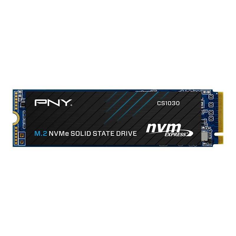 PNY TECHNOLOGIES PNY CS1030 1 TB