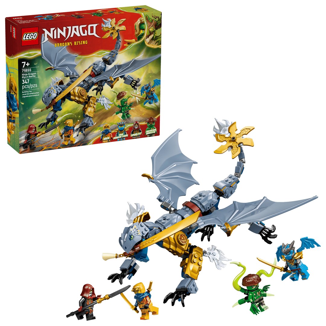 LEGO Bricks Ninjago 71855 Ninja Dragon