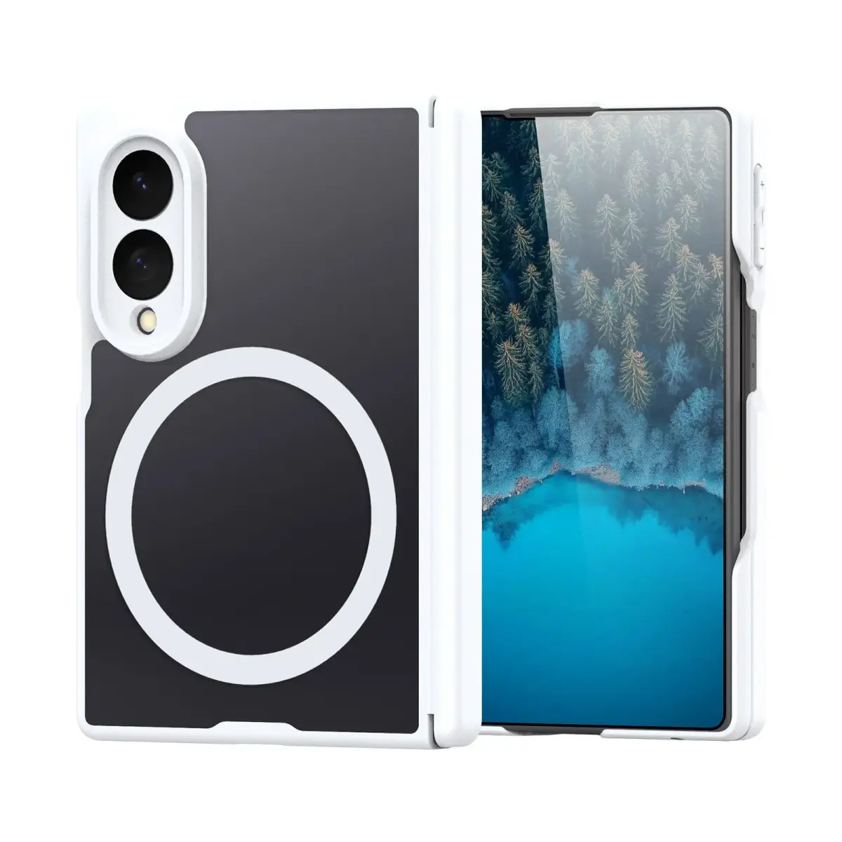 DUX DUCIS case EXPN compatible with