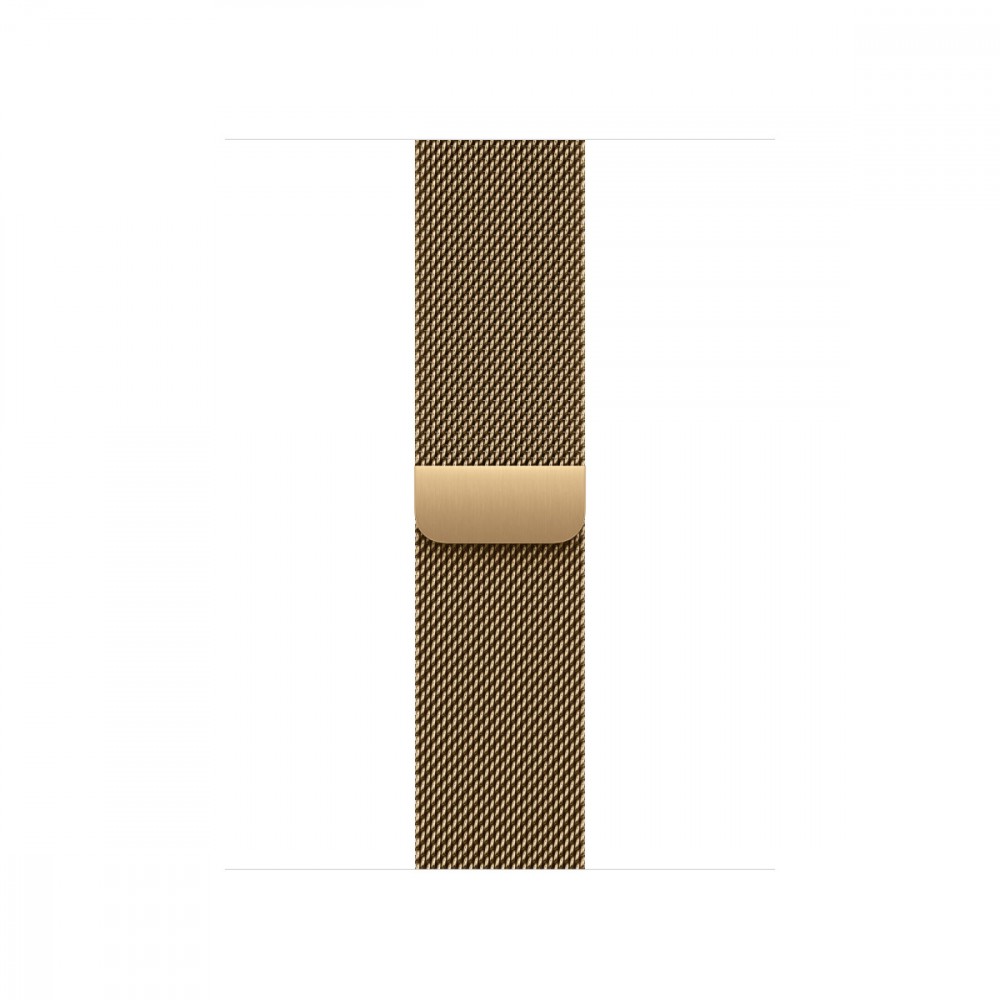 APPLE 40mm Radiant Gold Milanese Loop
