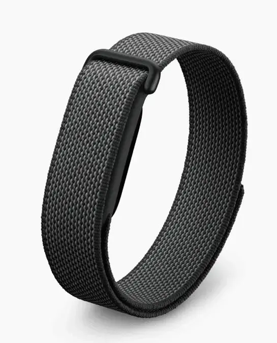Fitbit Wearable Google Air No Wristband