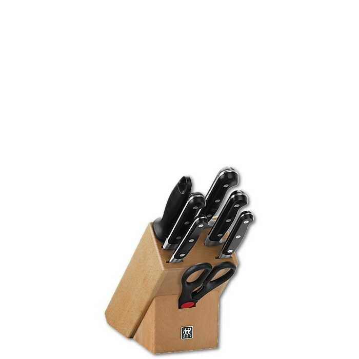 Knife set in block Zwilling Professional