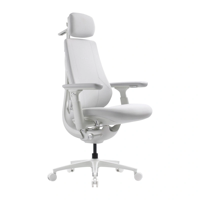 Dynamic Ergonomic Chair LiberNovo Maxis-PRO |