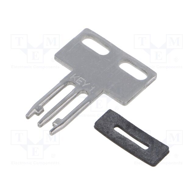 CARLO GAVAZZI Accessories: flat key |
