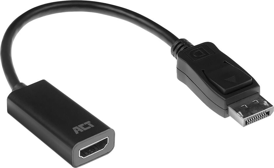 ACT DP MALE - HDMI A