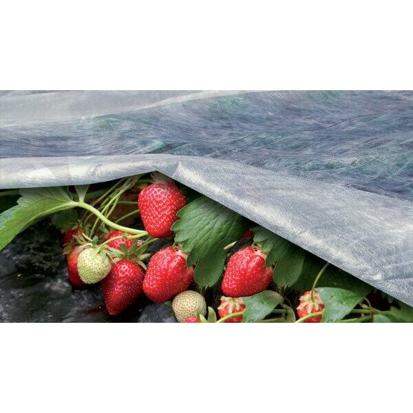 Agroplēve 17 g/m2 ORTOCLIMA 1.60x10m