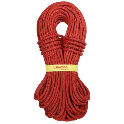 TENDON Ambition 10 STD (Zila, 1