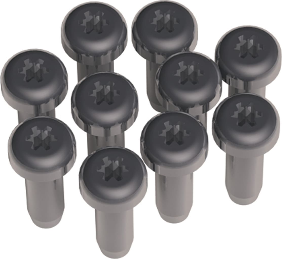 Bachmann Torx T6 screws for custom