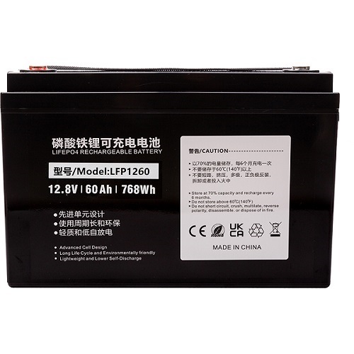 EXTRADIGITAL Battery Lithium Iron Phosphate LiFePO4