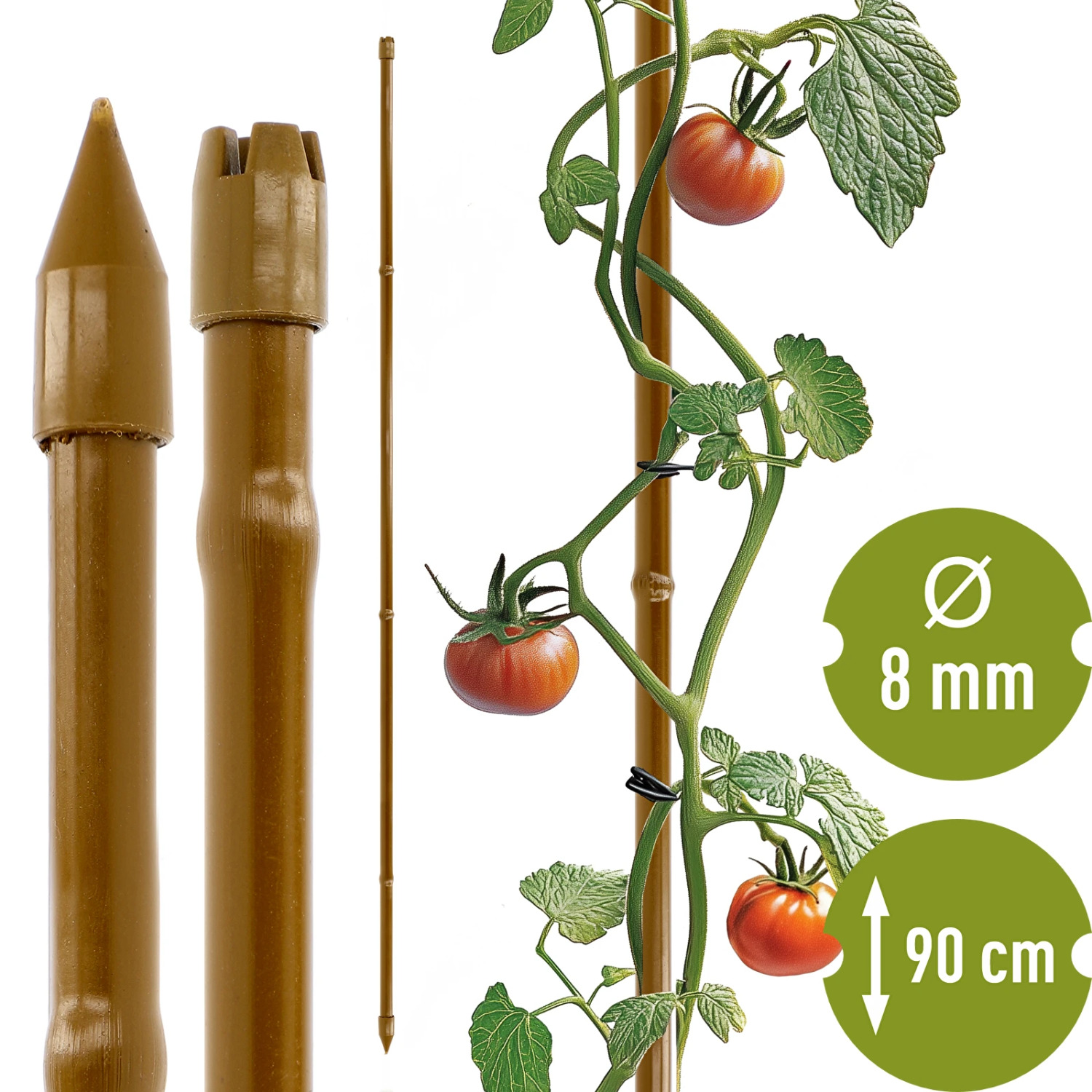 Bioogrod Augu balsts – stiprinājums –