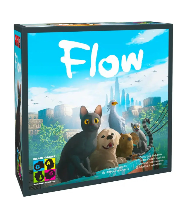 NO NAME Brain Games Flow |