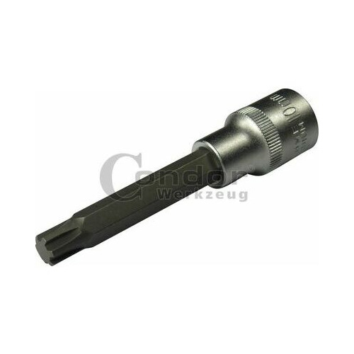 Condor C12105/06 Uzgalis muciņā, 1/2", ribe