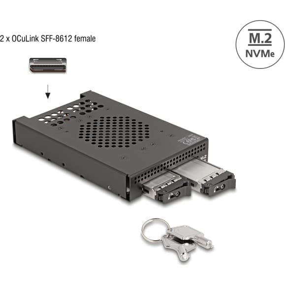 Delock 3.5" Mobile Rack for