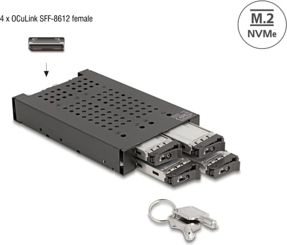 Delock 3.5" Mobile Rack for