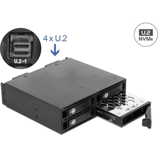 Delock 5.25" Mobile Rack for