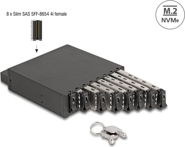 Delock 5.25" Mobile Rack for