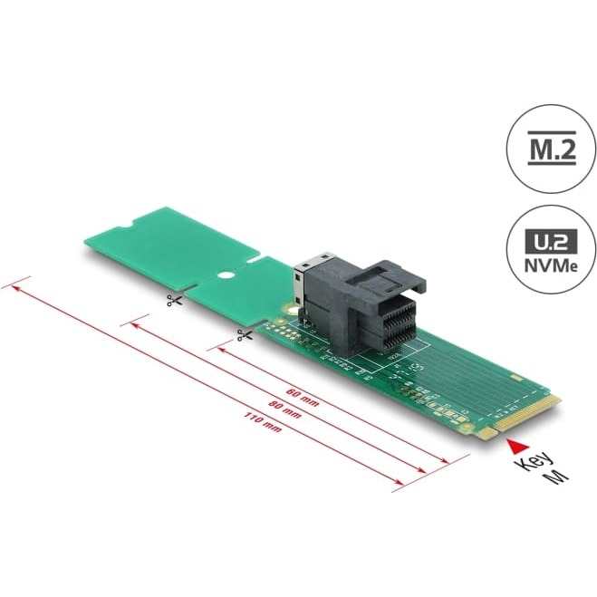 Delock Adapter M.2 Key M