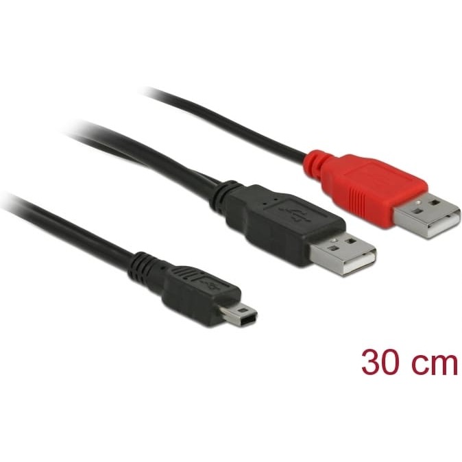 Delock Cable 2 x USB 2