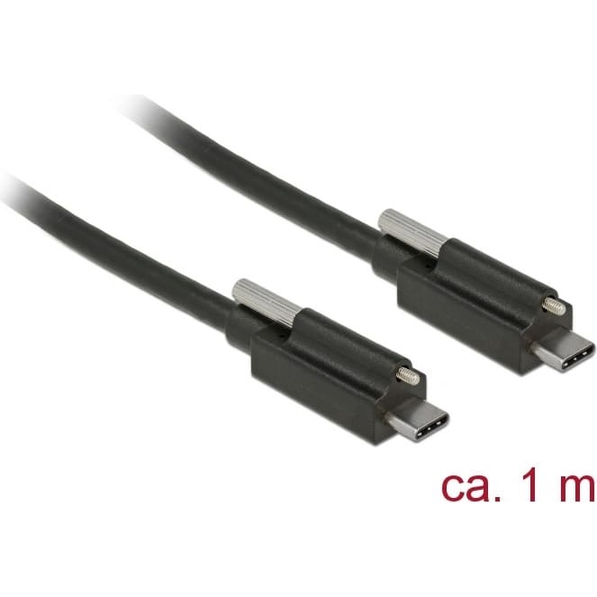 Delock Cable SuperSpeed USB 10 Gbps