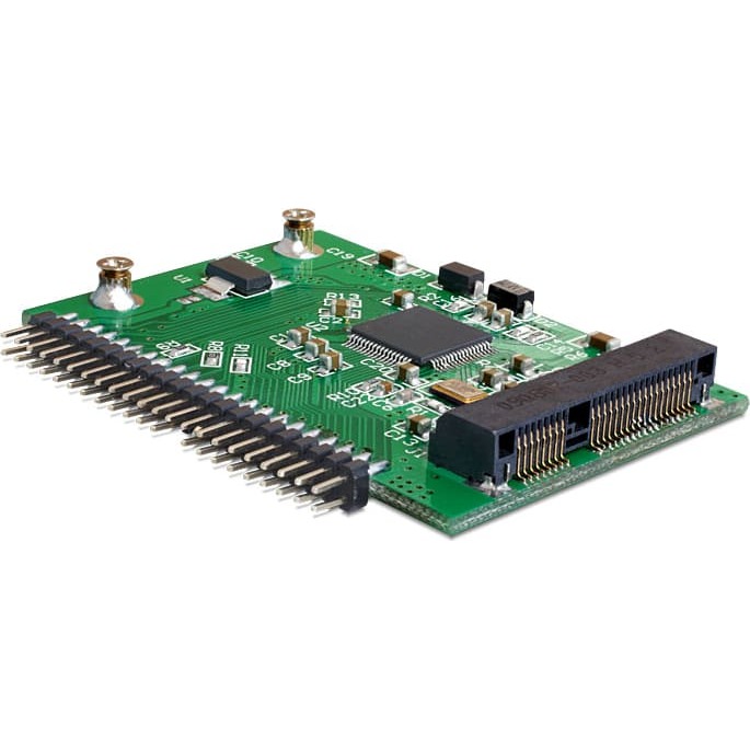 Delock Converter mSATA SSD > IDE