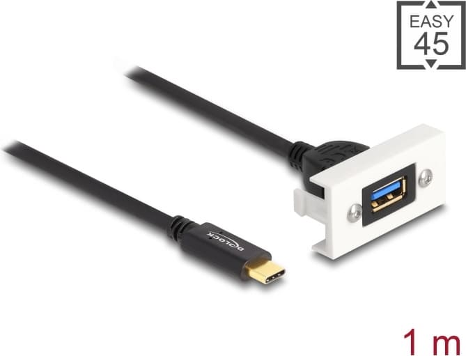 Delock Easy 45 Module SuperSpeed USB