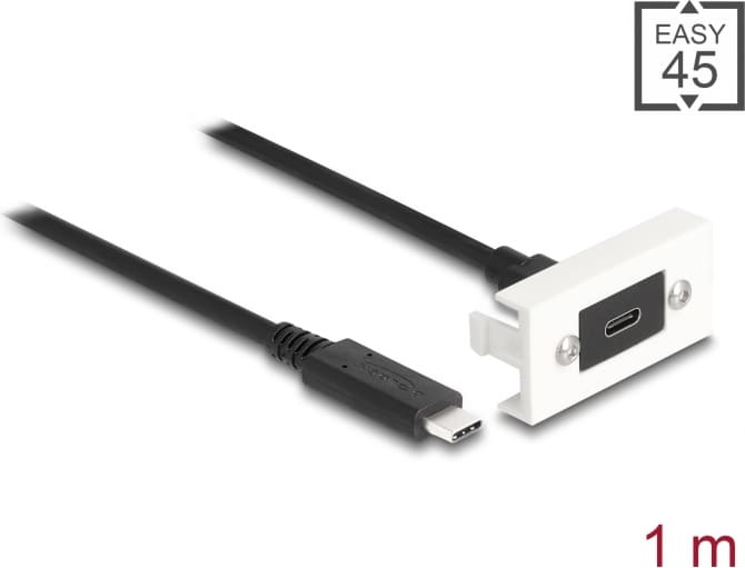 Delock Easy 45 Module SuperSpeed USB