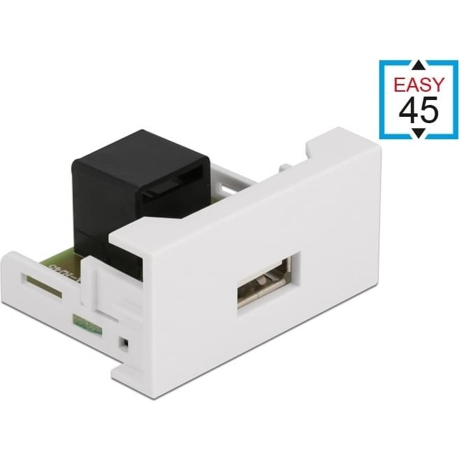 Delock Easy 45 Module USB 2