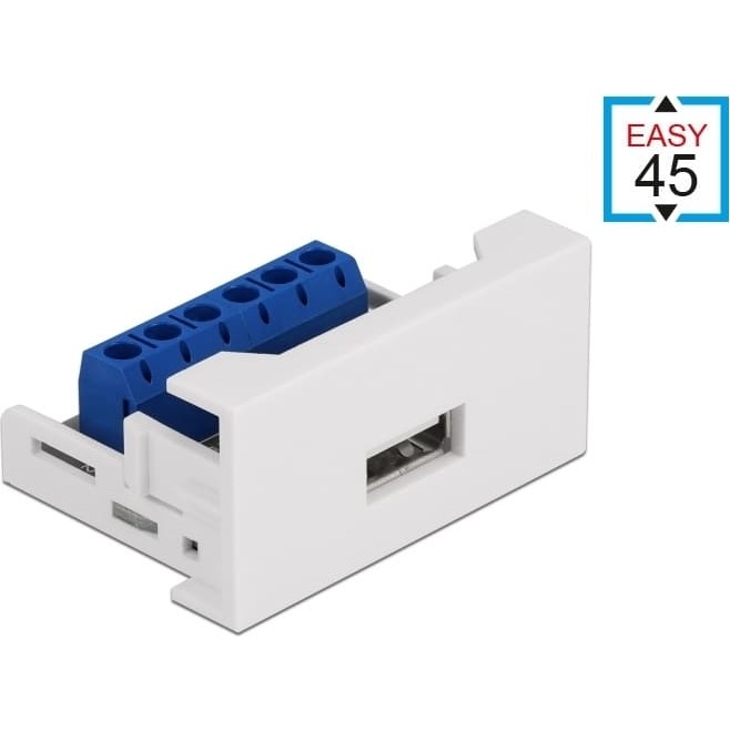 Delock Easy 45 Module USB 2