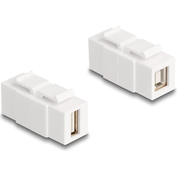 Delock Keystone Module USB 2.0