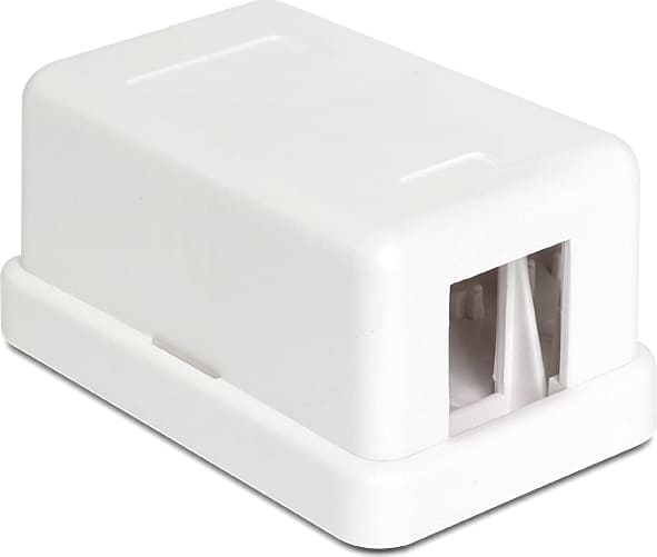 Delock Keystone Surface Mounted Box 1