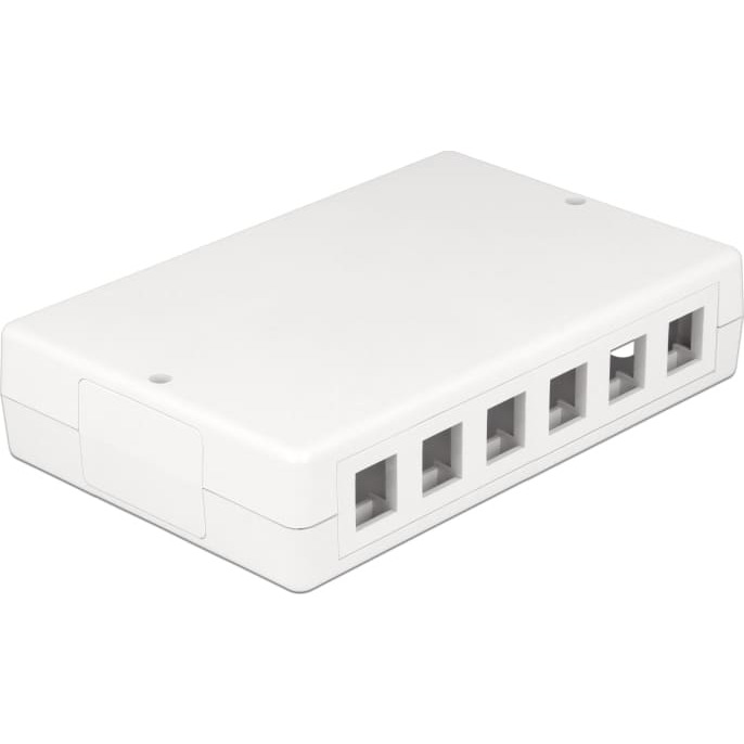 Delock Keystone Surface Mounted Box 12