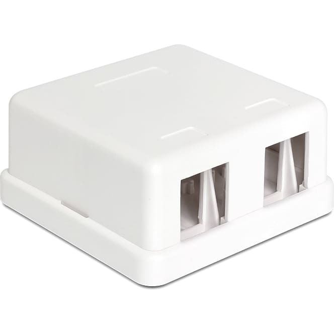 Delock Keystone Surface Mounted Box 2