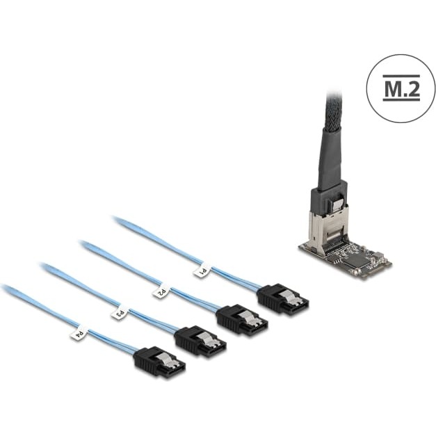 Delock M.2 2242 Key B+M