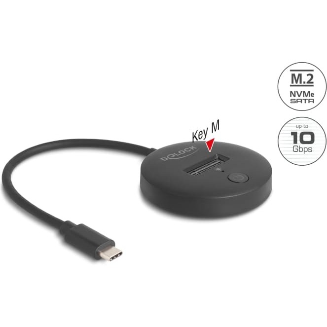 Delock M.2 Docking Station for