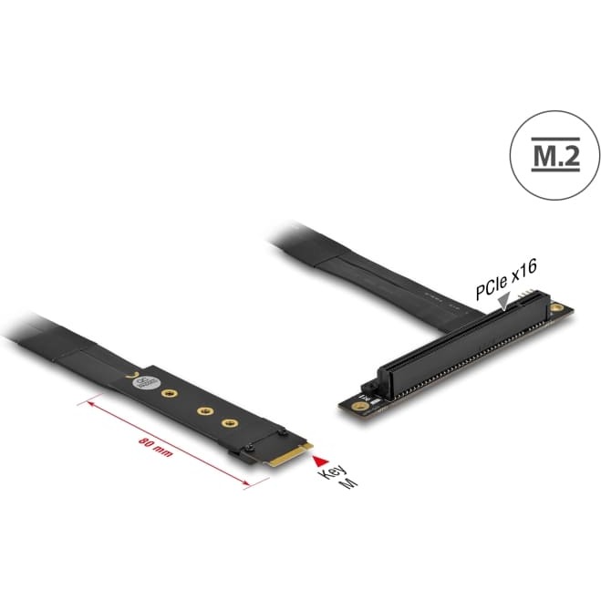Delock M.2 Key M to