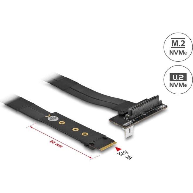 Delock M.2 Key M to