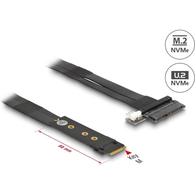Delock M.2 Key M to