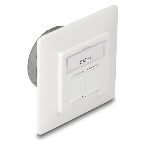 Delock Modular Wall Outlet flush mount