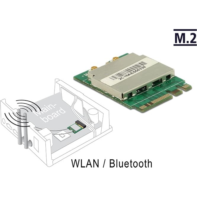 Delock Module M.2 Key A+E